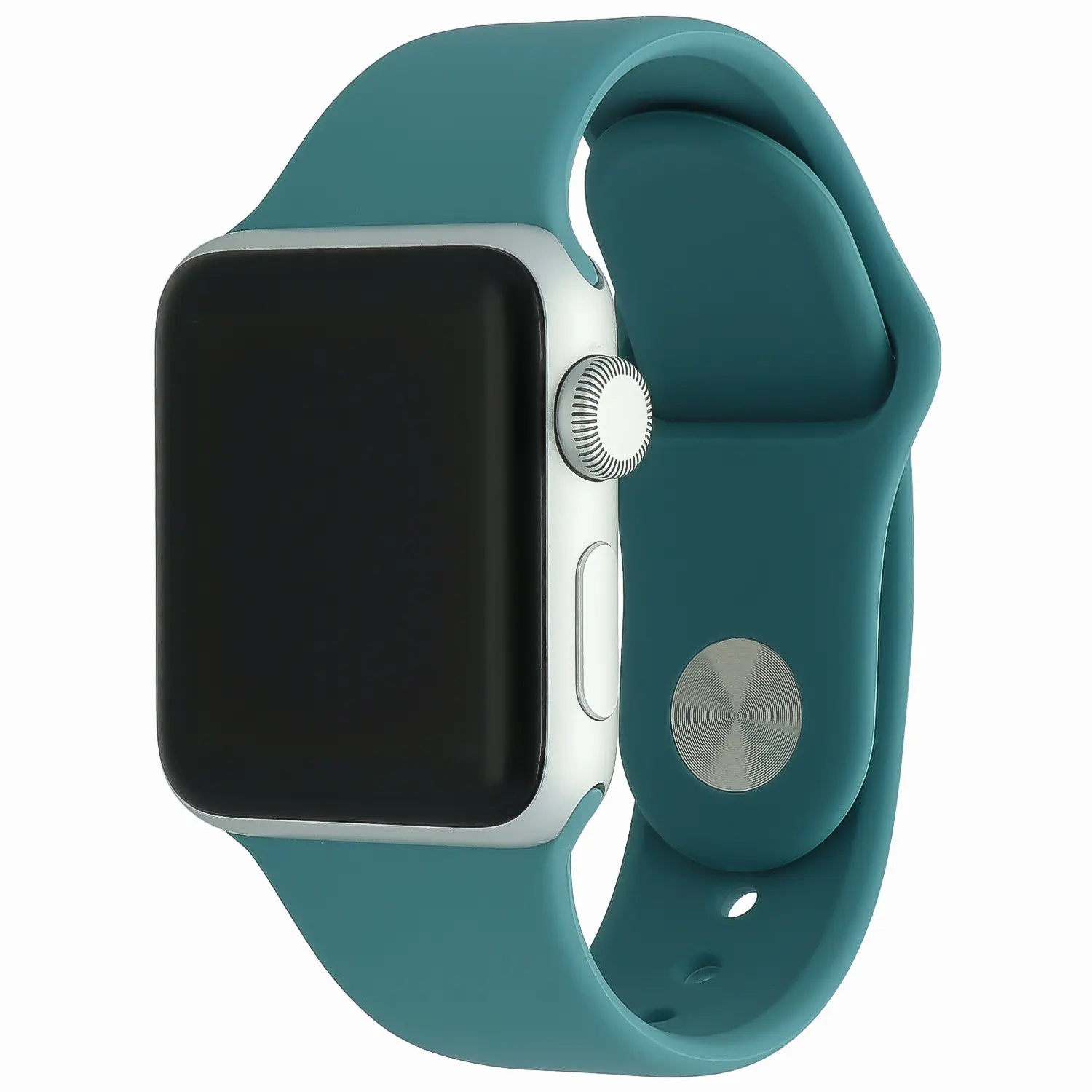 Apple watch se online cactus